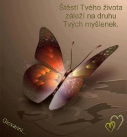 /album/oblibena-zivotni-moudra/stesti-tveho-zivota-jpg/